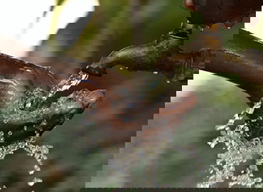 体育衍生品交易